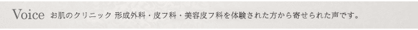 voice